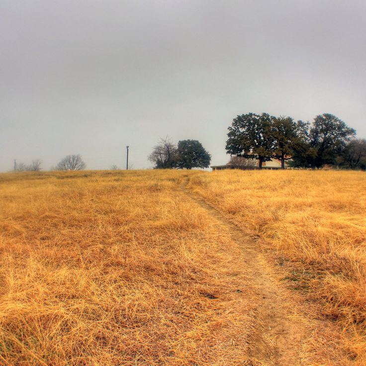 White Rock Lake Park