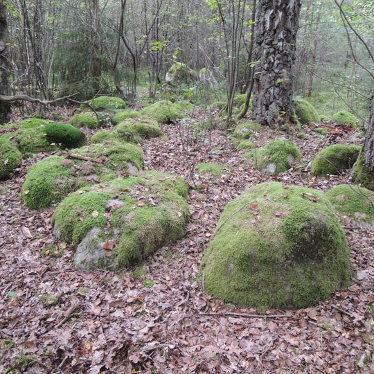 Großsteingrab Mühle Verhorn