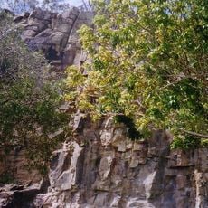 Kangaroo Point Cliffs