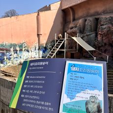 원숭이마을