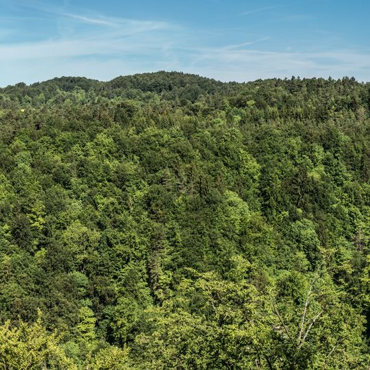 Naturwaldreservat Eibenwald bei Gößweinstein