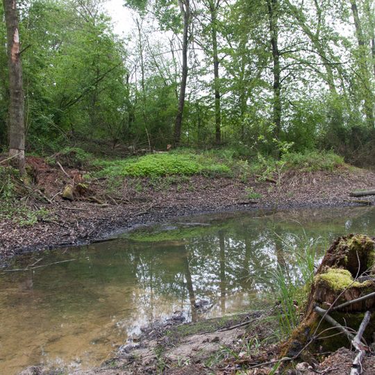 Tagkaute von Lieblos