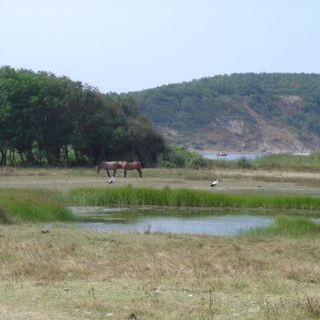 Strandzha Nature Park