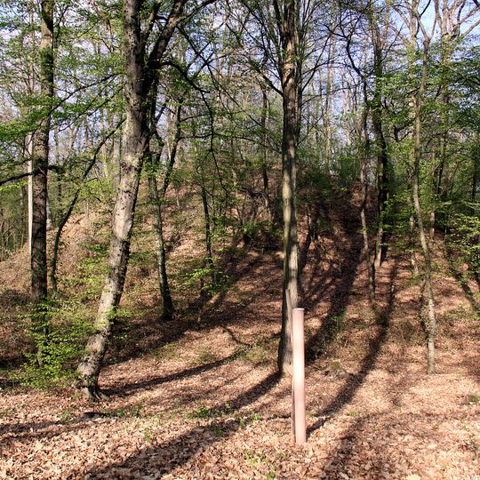 Hügelgräberfeld Schandorfer Wald