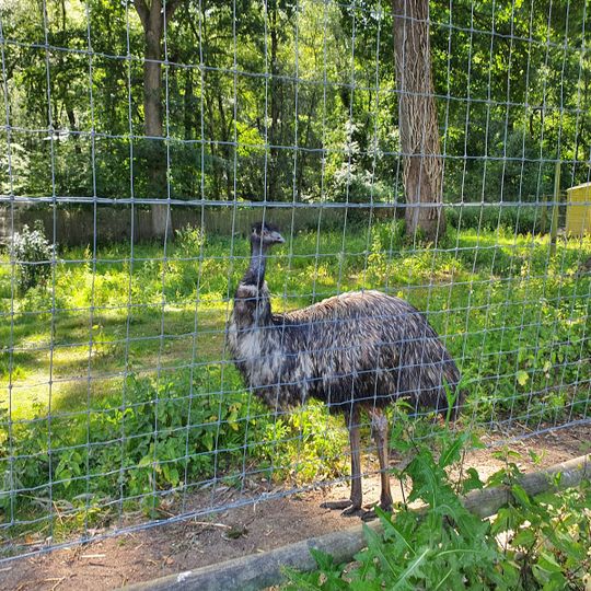 Tilgate Nature Centre