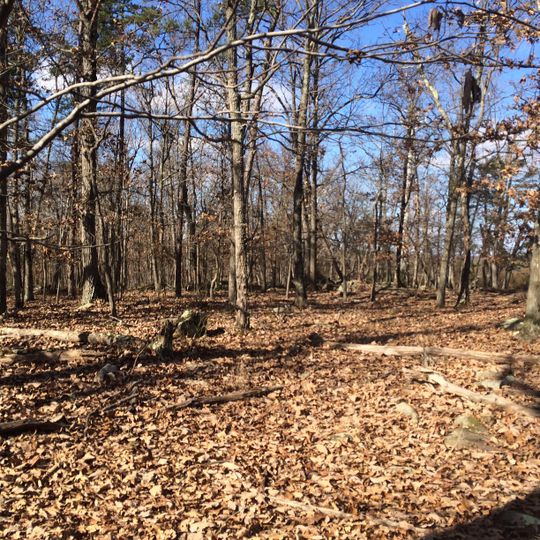 Serpentine Barrens Conservation Park