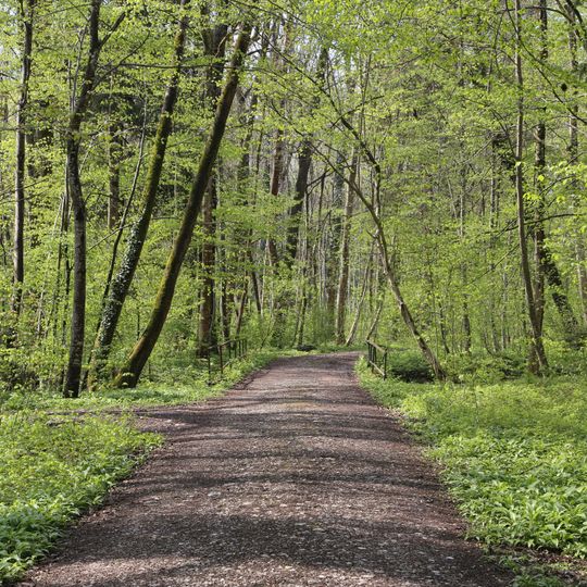 Inschutznahme eines Auwaldbestandes in den Kaltenbachauen in der Gemeinde Pang als LSG