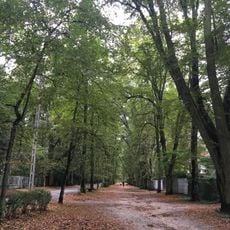 Urban layout of Podkowa Leśna