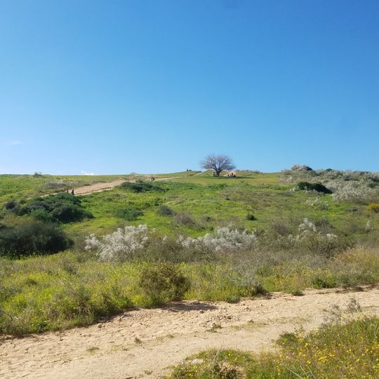 גן לאומי גבעות הכורכר נס ציונה