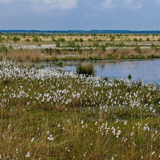 Stapeler Moor und Umgebung