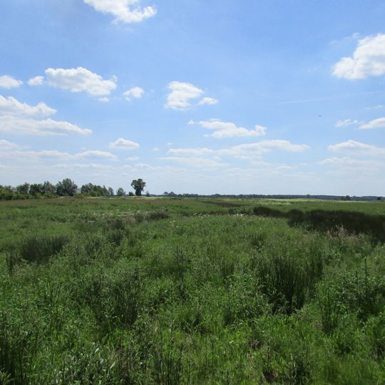 Boller Moor und Lange Lohe