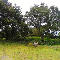 Snape Anglo-Saxon Cemetery