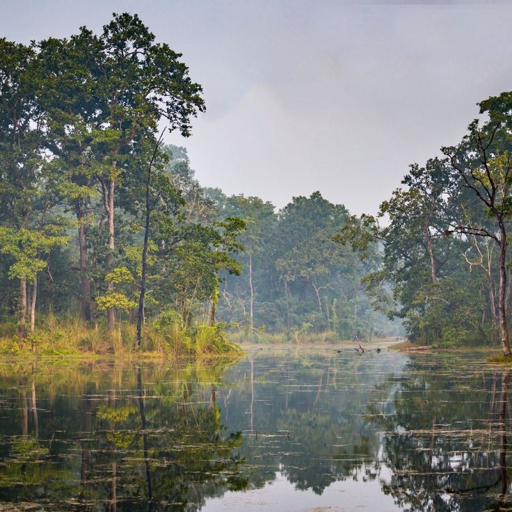 Chitwan National Park