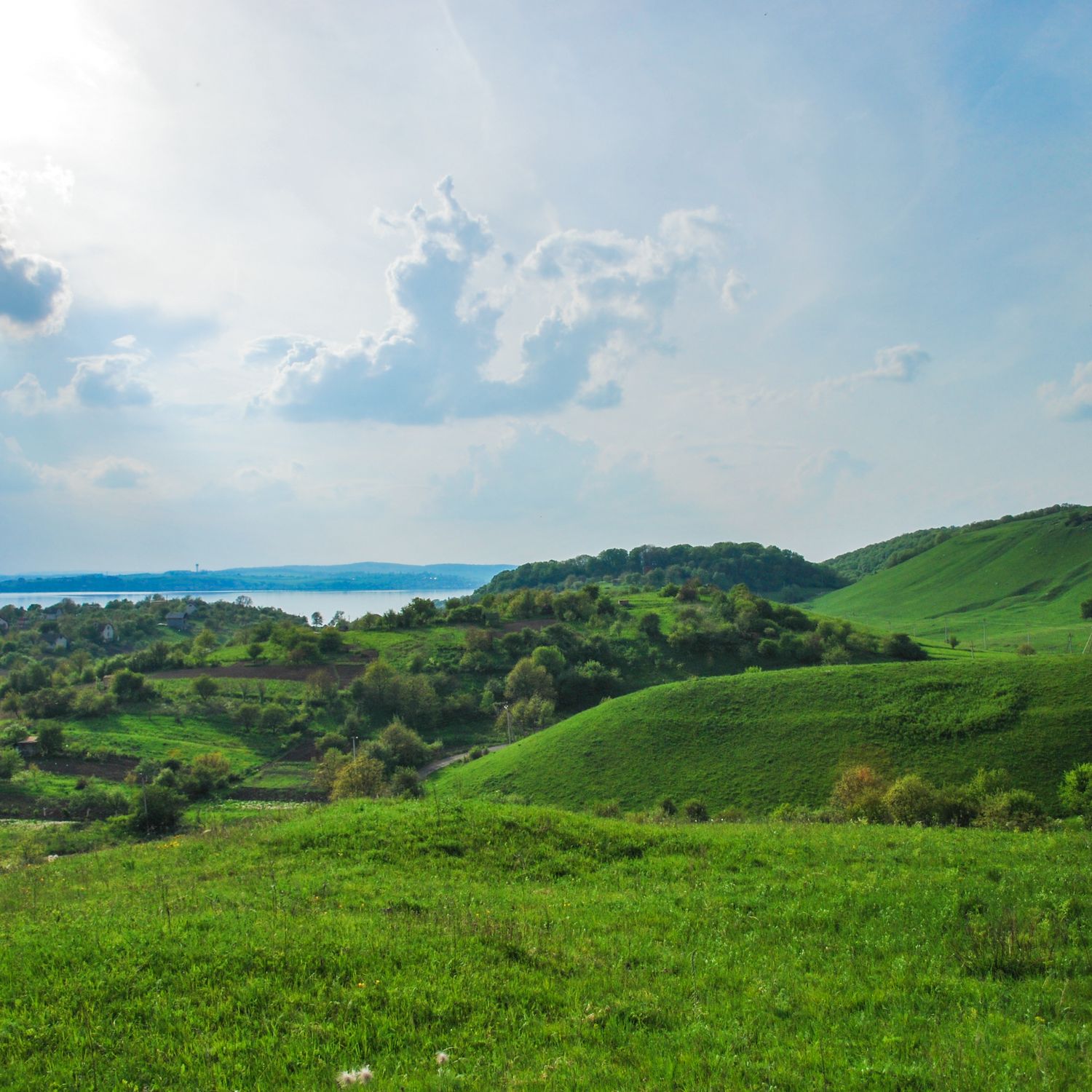 Halych National Nature Park - National nature park in Ivano-Frankivsk ...