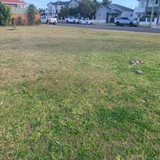 Clareville Park