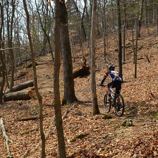 West Tyson County Park