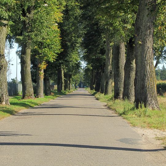 Woroniec, powiat bialski