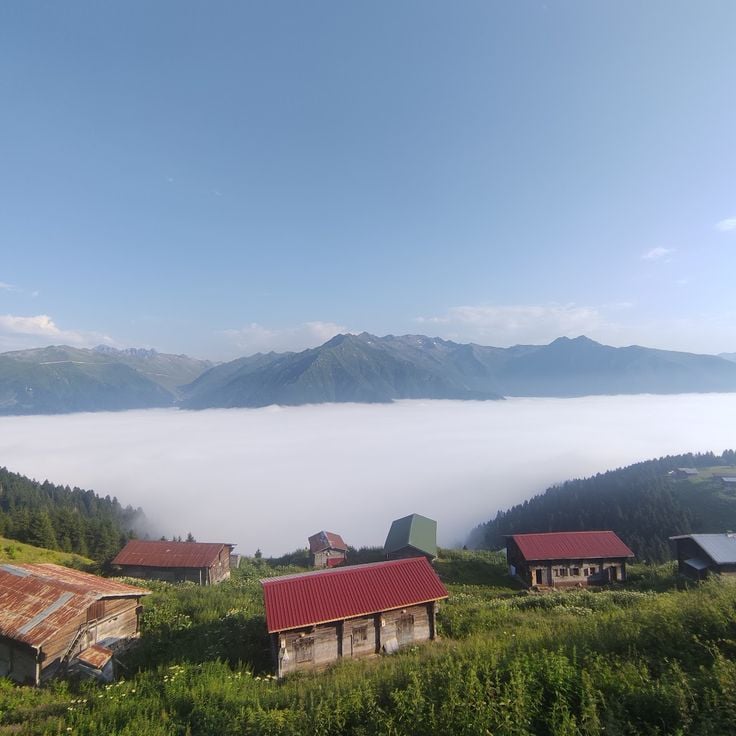 Pokut Yaylası