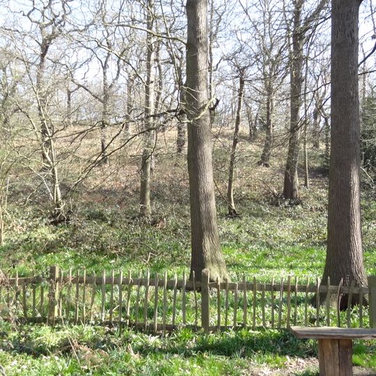 Abbey Wood SSSI