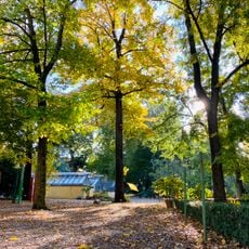 Giardino dei Semplici