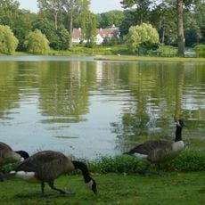 Mellaerts Ponds