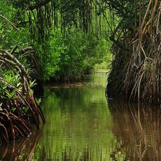 Nationalpark Laguna de Tacarigua