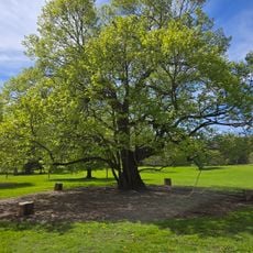 James Pass Arboretum