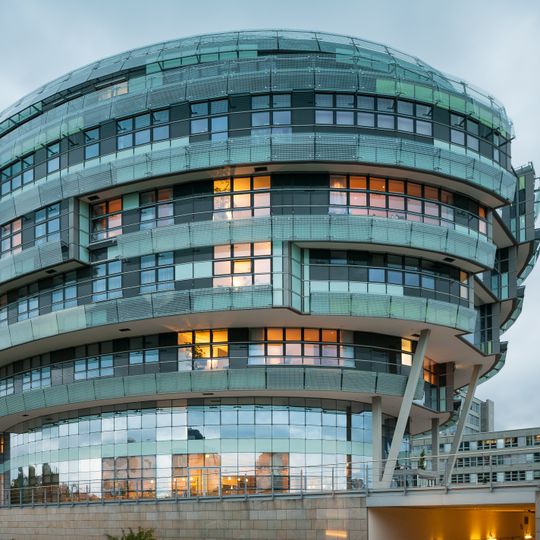 International Neuroscience Institute