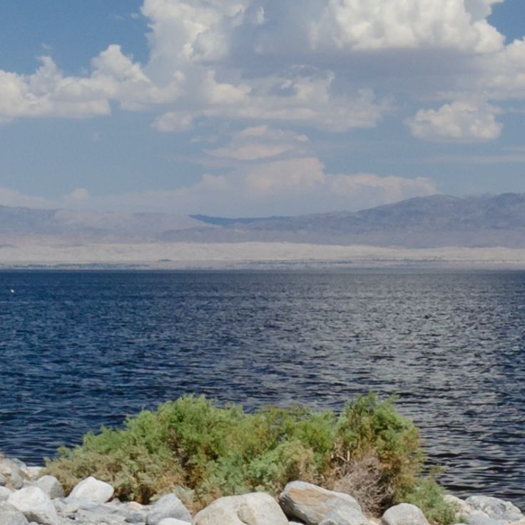 Salton Sea