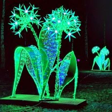 Sezonowa wystawa Książęcy Park Iluminacji ,,Baśniowe Zatonie”