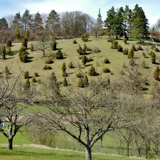 Wacholderheide Brunnenberg