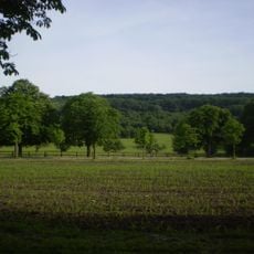 Hohenauerwiese