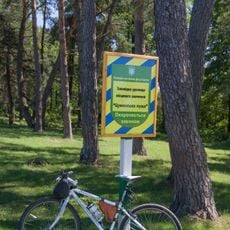 Цуманська Пуща