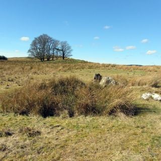 Stone circle, 380m east of King's Crags