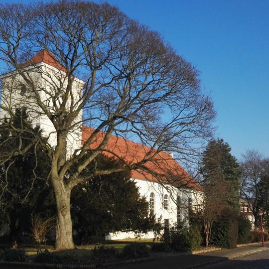 Gehölzgruppe an der Kirche in Friesack