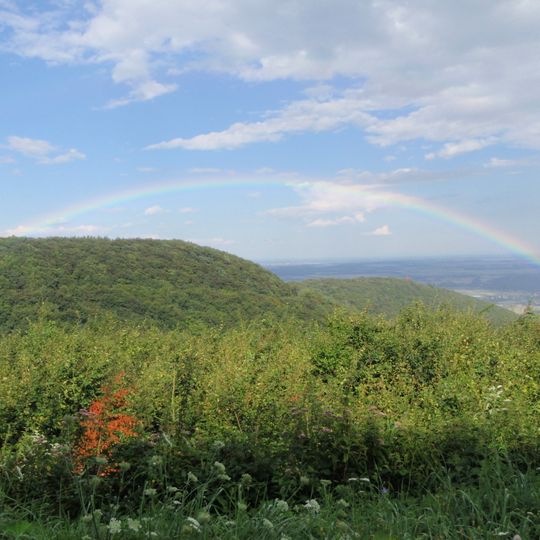Erdők a Kőszegi-hegységben