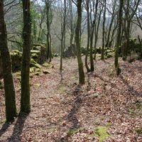 Corredoira, Cerdedo-Cotobade