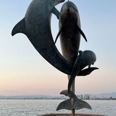 Los Delfines