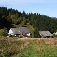 Zálesí (Javorník)