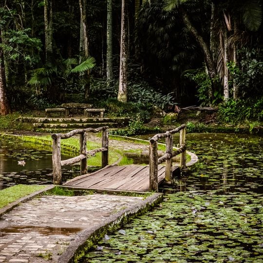Fontes do Ipiranga Biological Reserve
