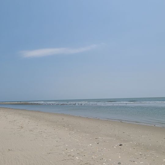 Smith Island Beach