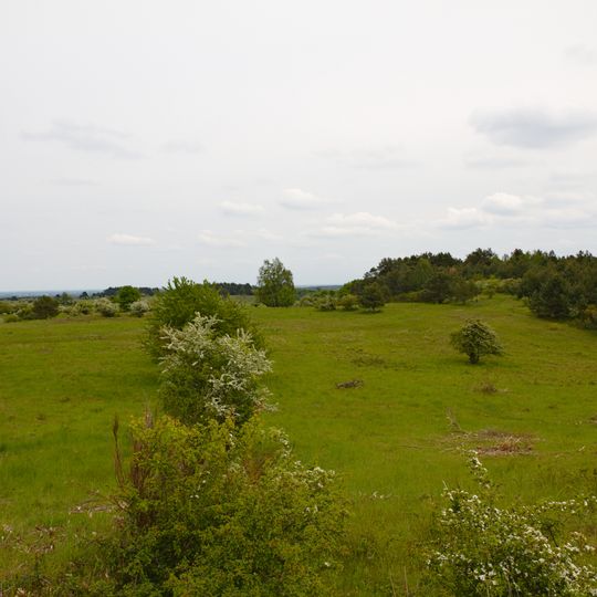 Hutelandschaft Altranft-Sonnenburg