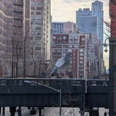 High Line Plinth