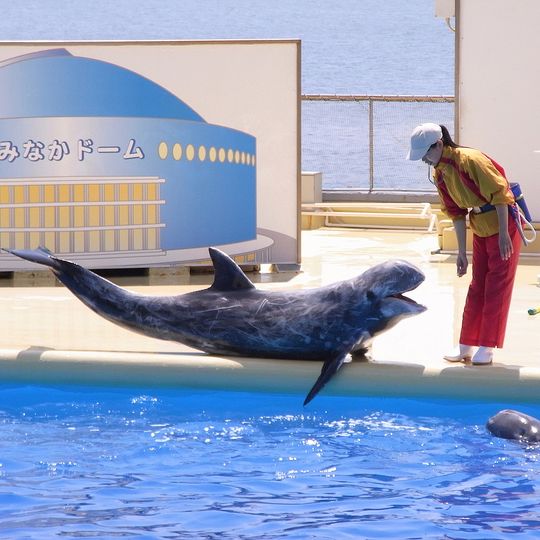 Marine World Uminonakamichi