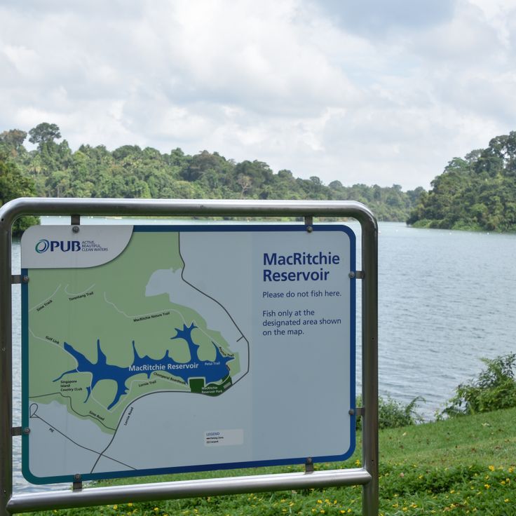 Réserve MacRitchie