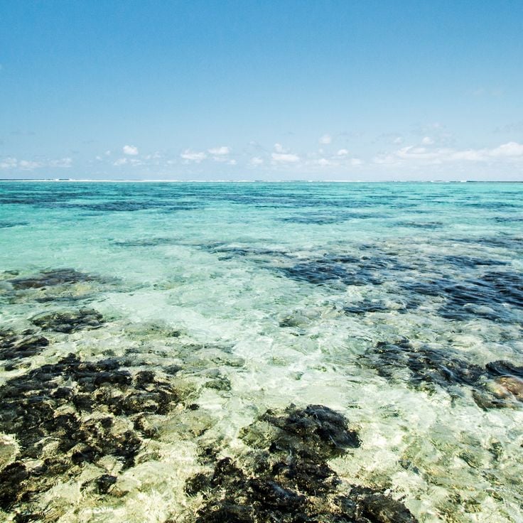 Parque Marino de Blue Bay