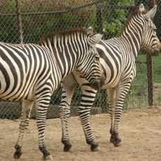 Zoo di Islamabad