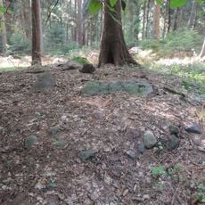 Großsteingrab Barnstedt