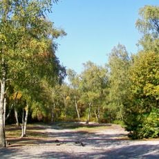 Forêt de Montmorency