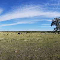 Dipartimento di San José de Feliciano